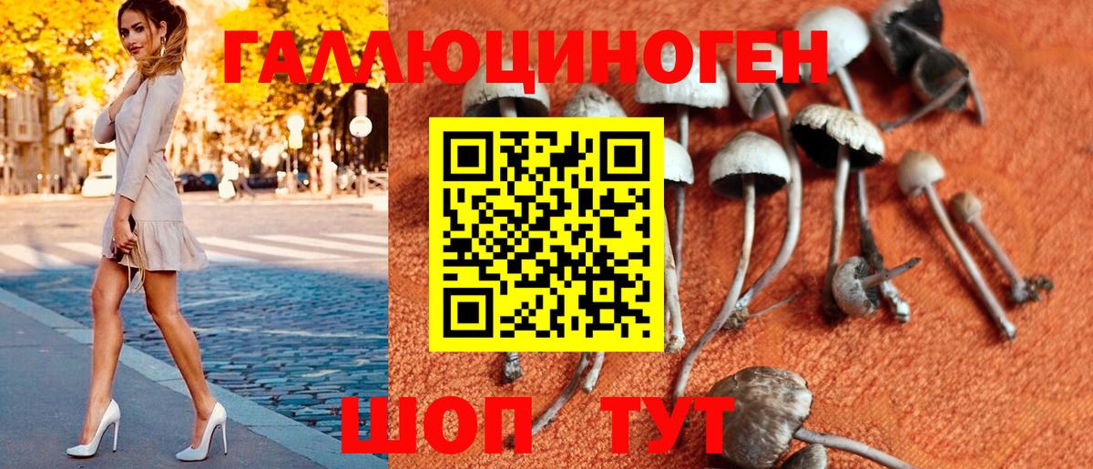 Петрозаводск  Галлюциногенные грибы Cubensis  Вход с VPN  Псилоцибиновые грибы GOLDEN TEACHER 